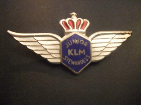 KLM Junior Stewardess Wing emaille inleg